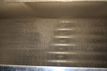 L(fng)C(j)P(pn)ܳƬϴǰƬ